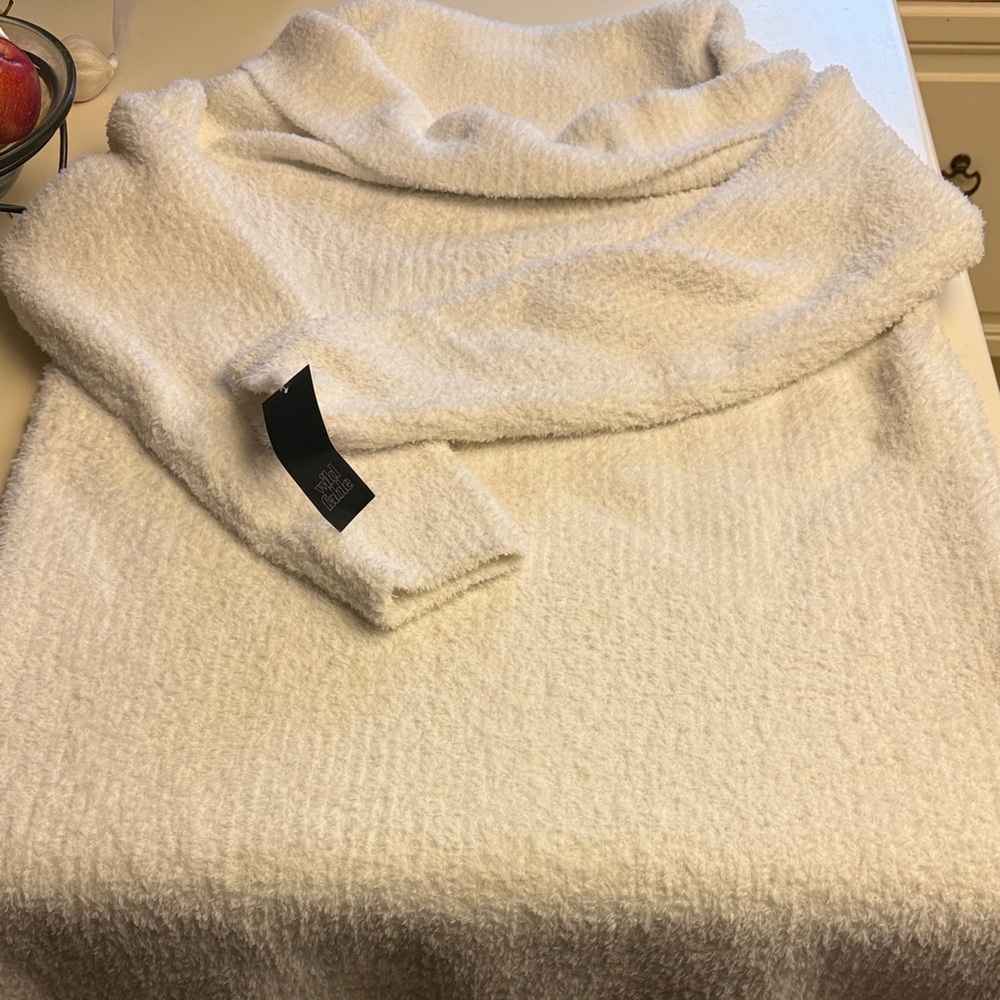 Wild Fable Teddy Sweater Dress 4X